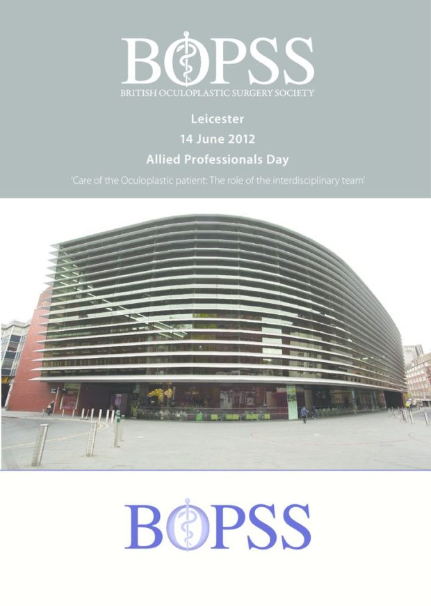 thumbnail of AP-day-book-2012-b2